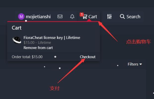 菲拉-Fiora辅助注册激活下载使用教程 - 图4