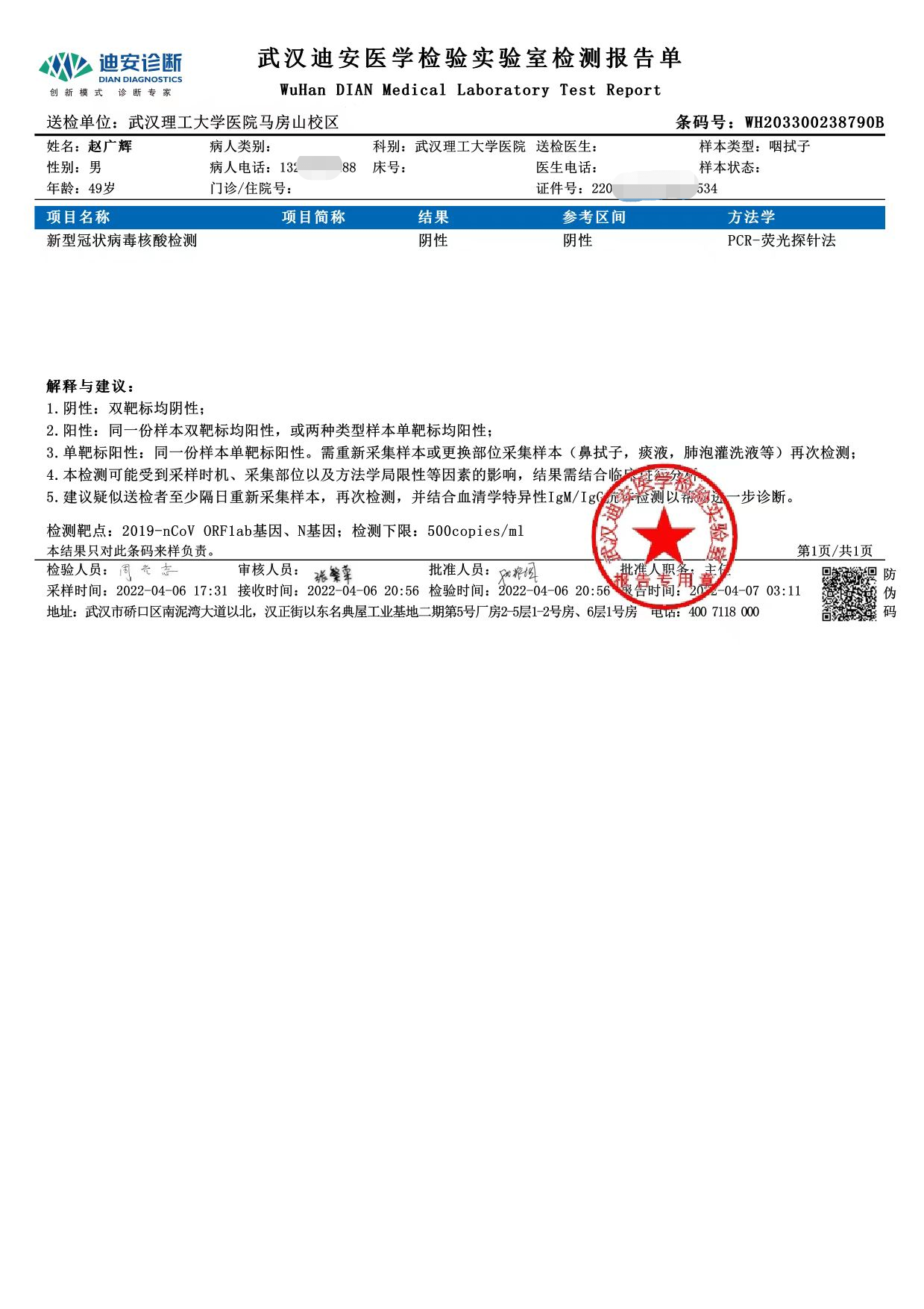 核酸副本.png