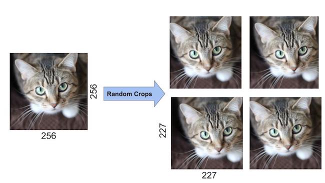 AlexNet-Data-Augmentation-Random-Crops.jpg